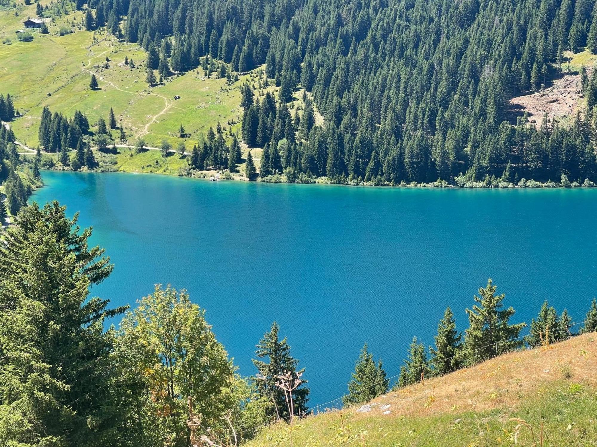 Les Loups Blancs Courchevel